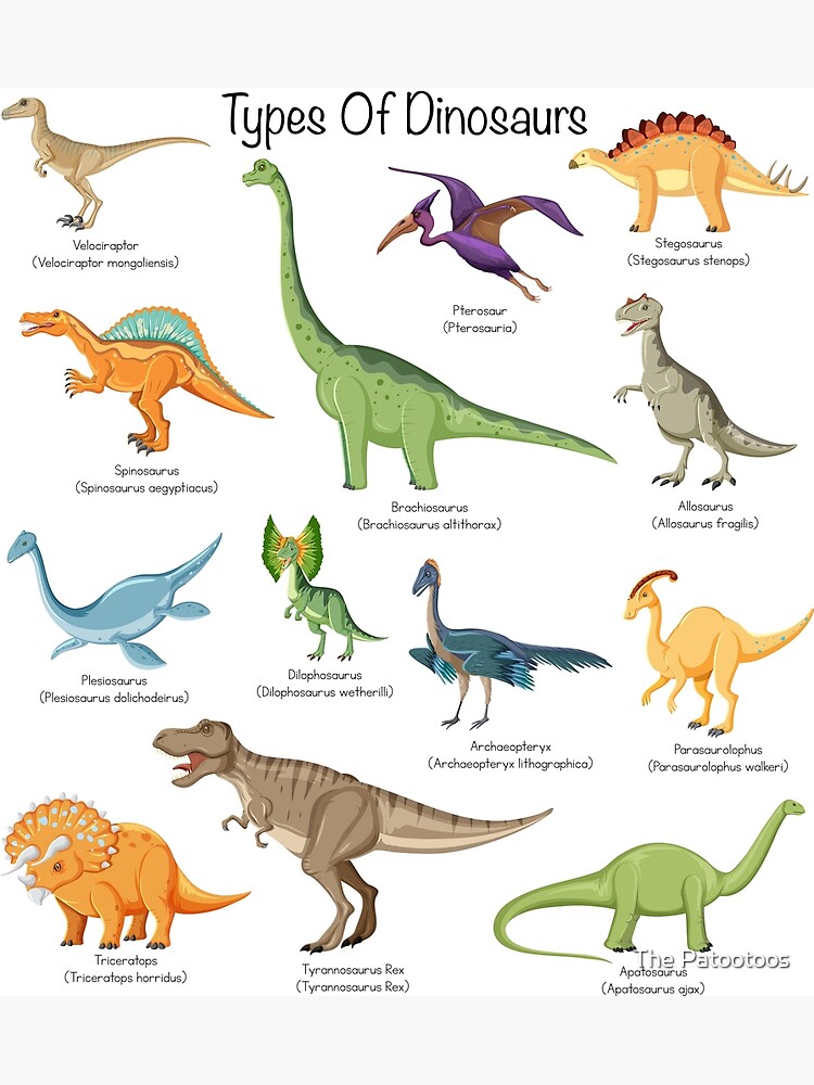 Kids Types Of Dinosaurs Dino Identification Poster