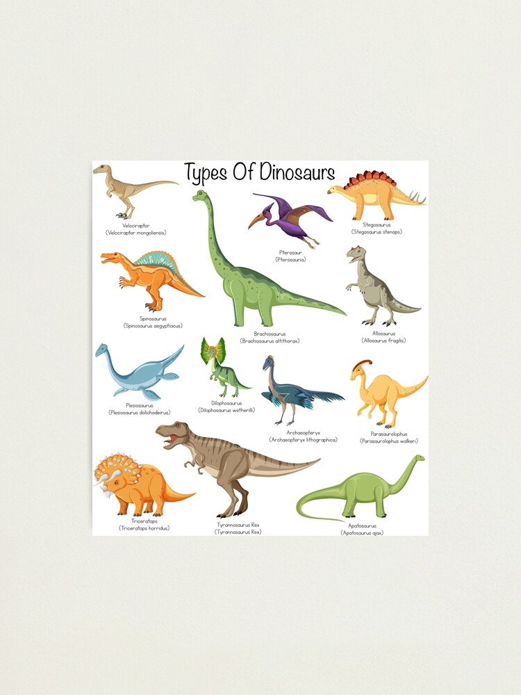 Types of dinosaurs - Cute loving dinosaurs educational identification  | Art Board Print