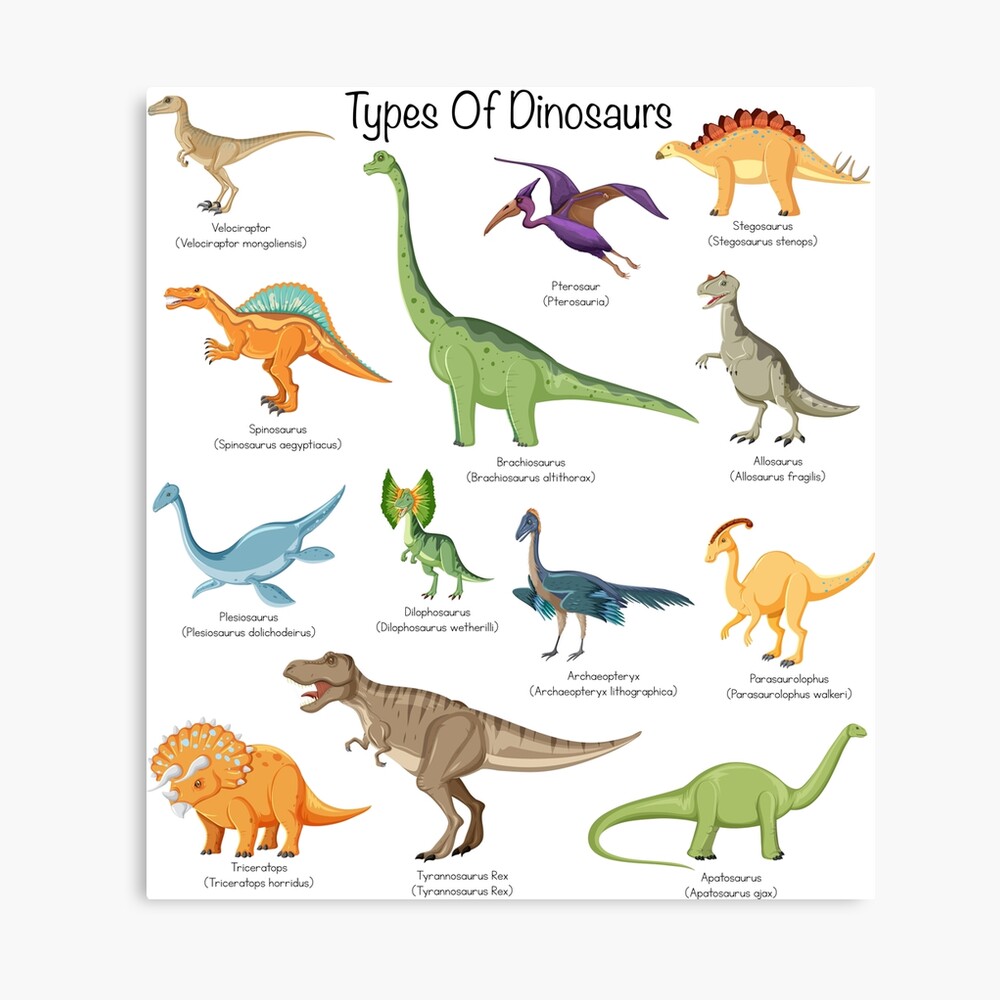 Types of dinosaurs - Cute loving dinosaurs educational identification  | Art Board Print
