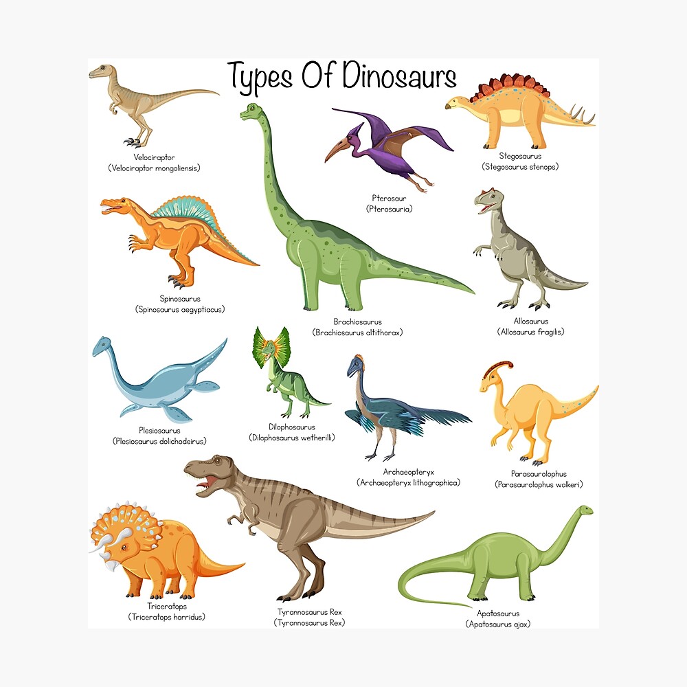 Types of dinosaurs - Cute loving dinosaurs educational identification  | Art Board Print