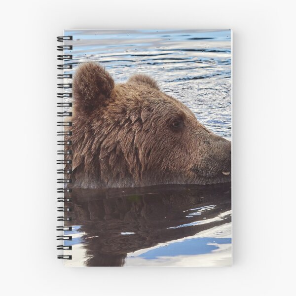 Item preview, Candy time. Brown bear designed and sold by Jouko Lehto Photography.