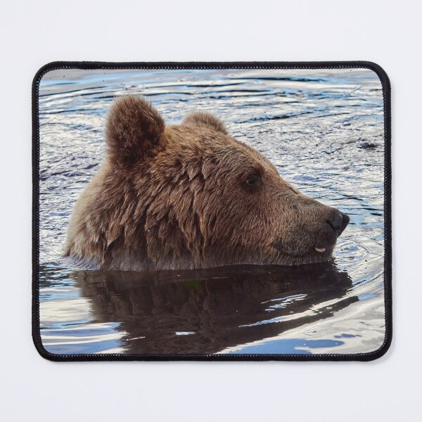 Item preview, Candy time. Brown bear designed and sold by Jouko Lehto Photography.