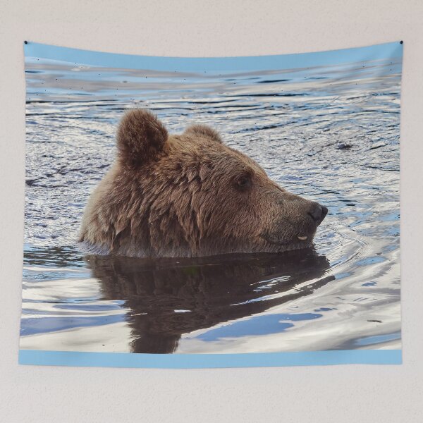 Item preview, Candy time. Brown bear designed and sold by Jouko Lehto Photography.