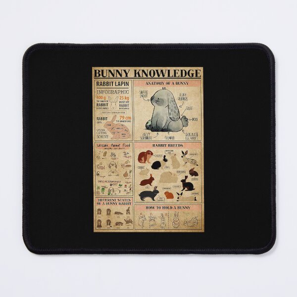 Item preview, Rabbit Bunny Knowledge art designed and sold by cevyl49.