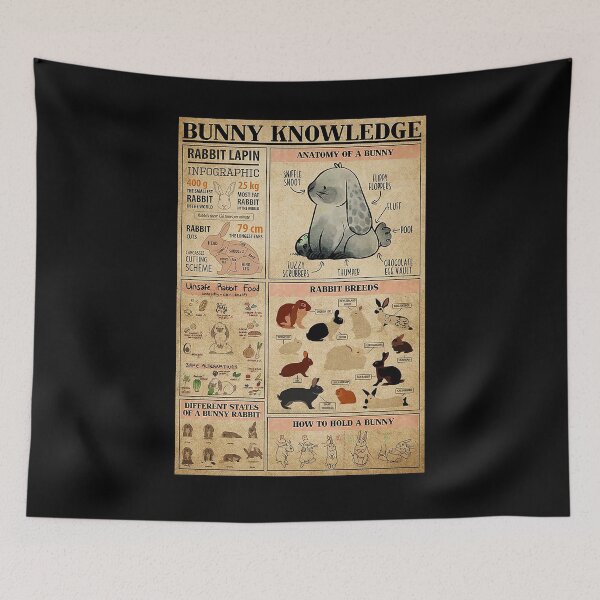 Item preview, Rabbit Bunny Knowledge art designed and sold by cevyl49.