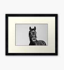 Gimme Just a Little Smile Framed Print