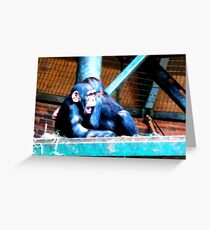 Childs Play Greeting Card