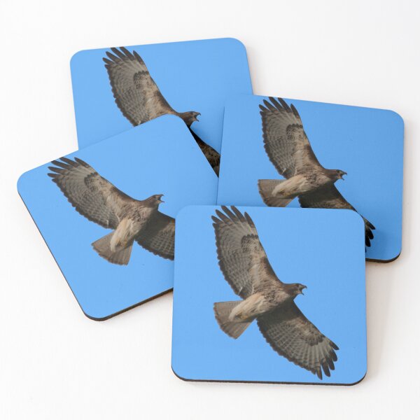 Item preview, Hawk Squawk! designed and sold by StevenElliot.