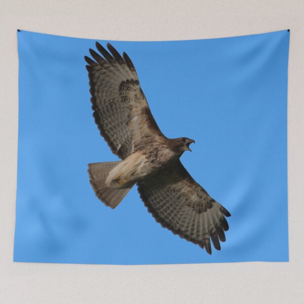 Item preview, Hawk Squawk! designed and sold by StevenElliot.