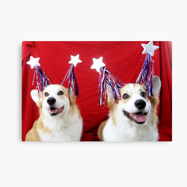 Star Spangled Corgis Canvas Print