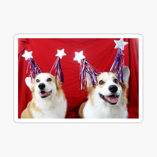 Star Spangled Corgis Sticker