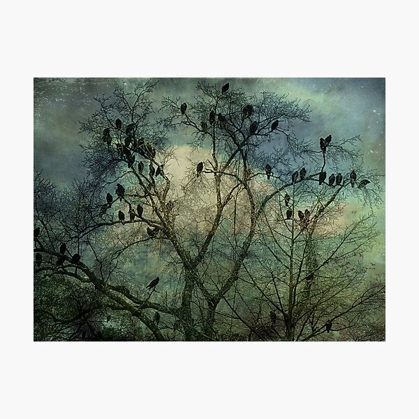 Item preview, The Birds designed and sold by Anne Christie.