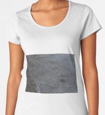 Freezing Over Women's Premium T-Shirt