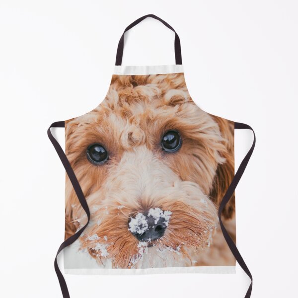 Item preview, Cavapoo in the snow designed and sold by AYatesPhoto.