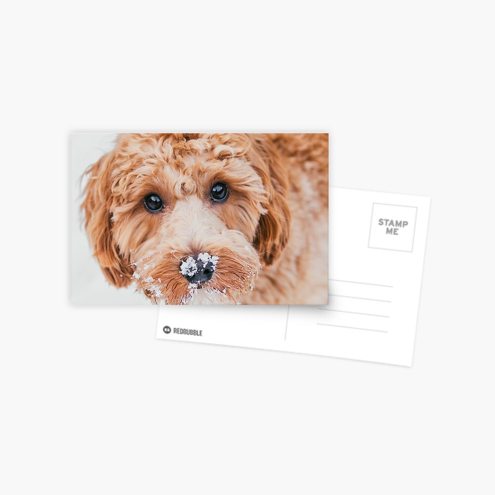 Item preview, Postcard designed and sold by AYatesPhoto.