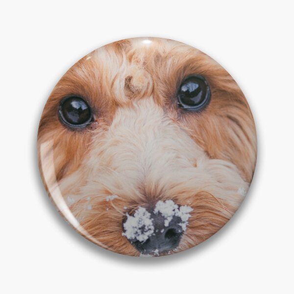 Item preview, Cavapoo in the snow designed and sold by AYatesPhoto.