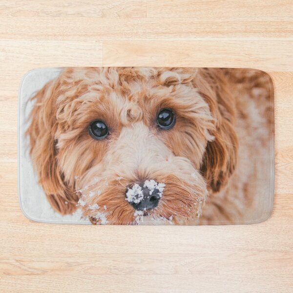 Item preview, Cavapoo in the snow designed and sold by AYatesPhoto.