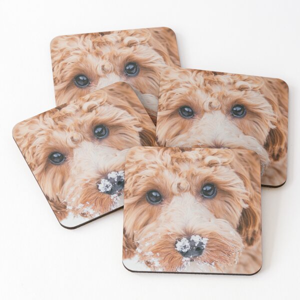 Item preview, Cavapoo in the snow designed and sold by AYatesPhoto.