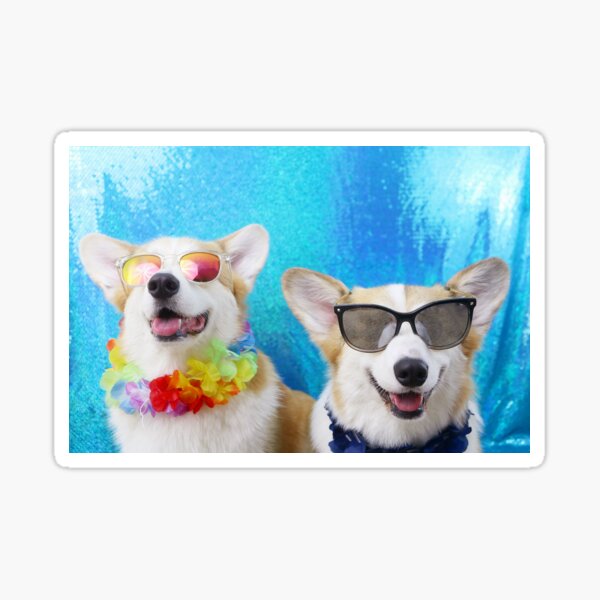 Summer Lovin' Corgis Sticker