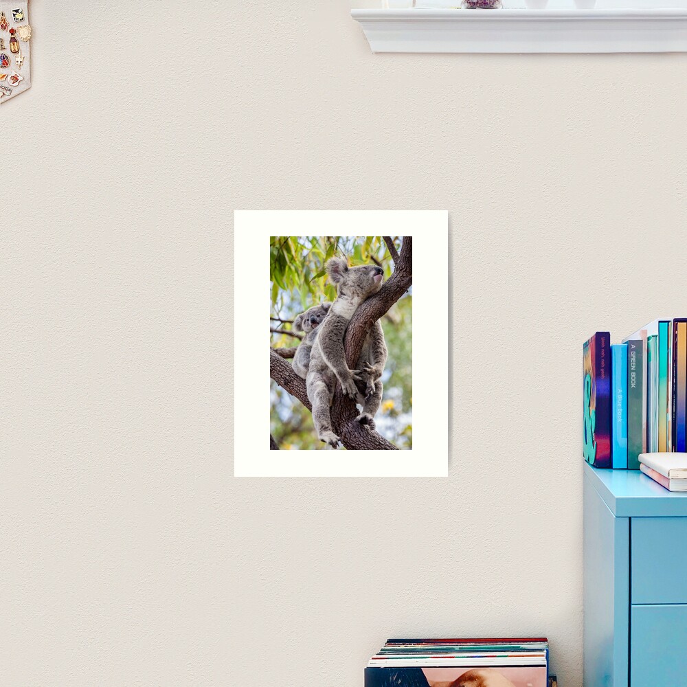 Mum's having a snooze Art Print