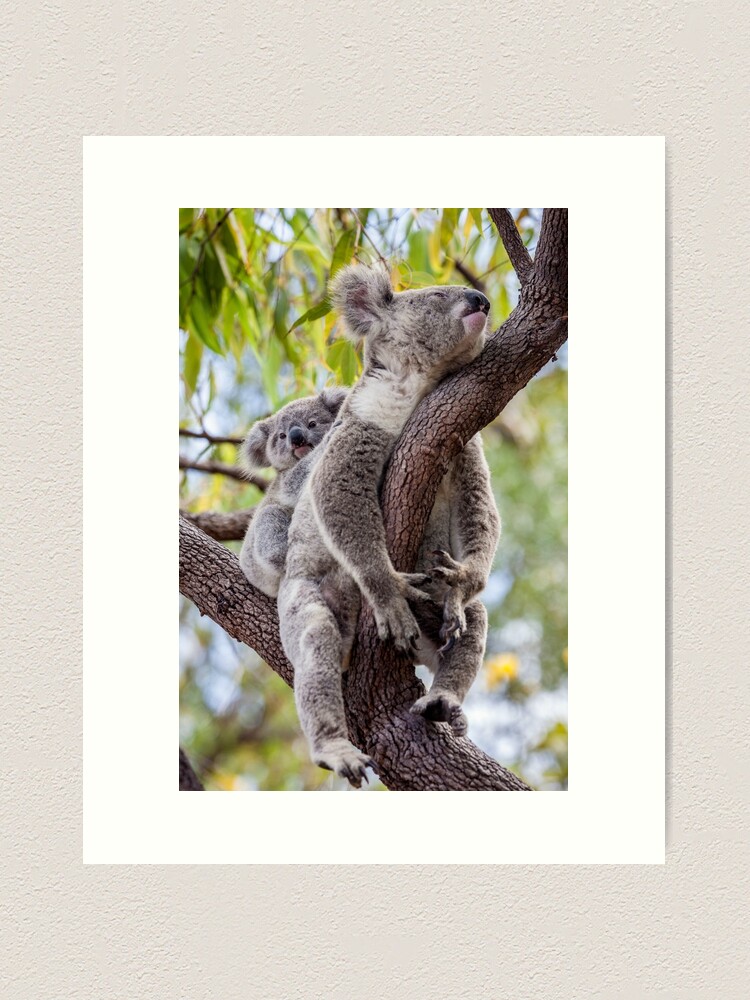 Alternate view of Mum's having a snooze Art Print