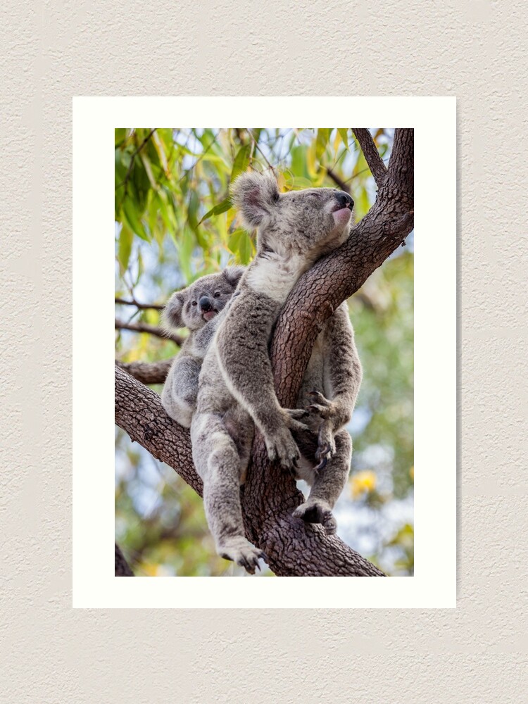 Alternate view of Mum's having a snooze Art Print