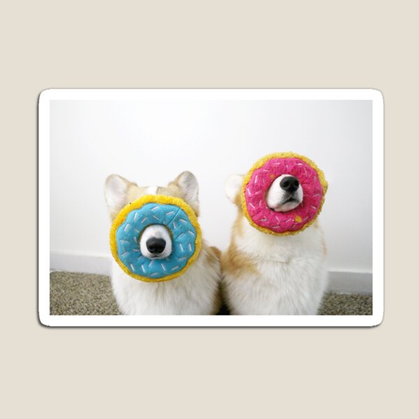 Corgnuts Magnet