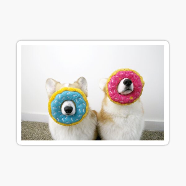 Corgnuts Sticker