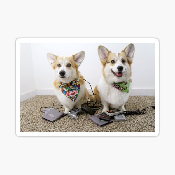 Super Corgi Bros Sticker