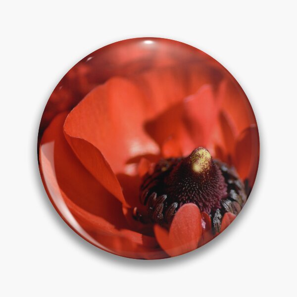 Item preview, Red Glow - Ranunculus Flowers designed and sold by Joy Watson - Natural Light Photography .