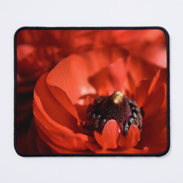 Item preview, Red Glow - Ranunculus Flowers designed and sold by Joy Watson - Natural Light Photography .