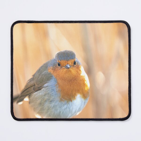 Item preview, Robin in golden light designed and sold by AYatesPhoto.