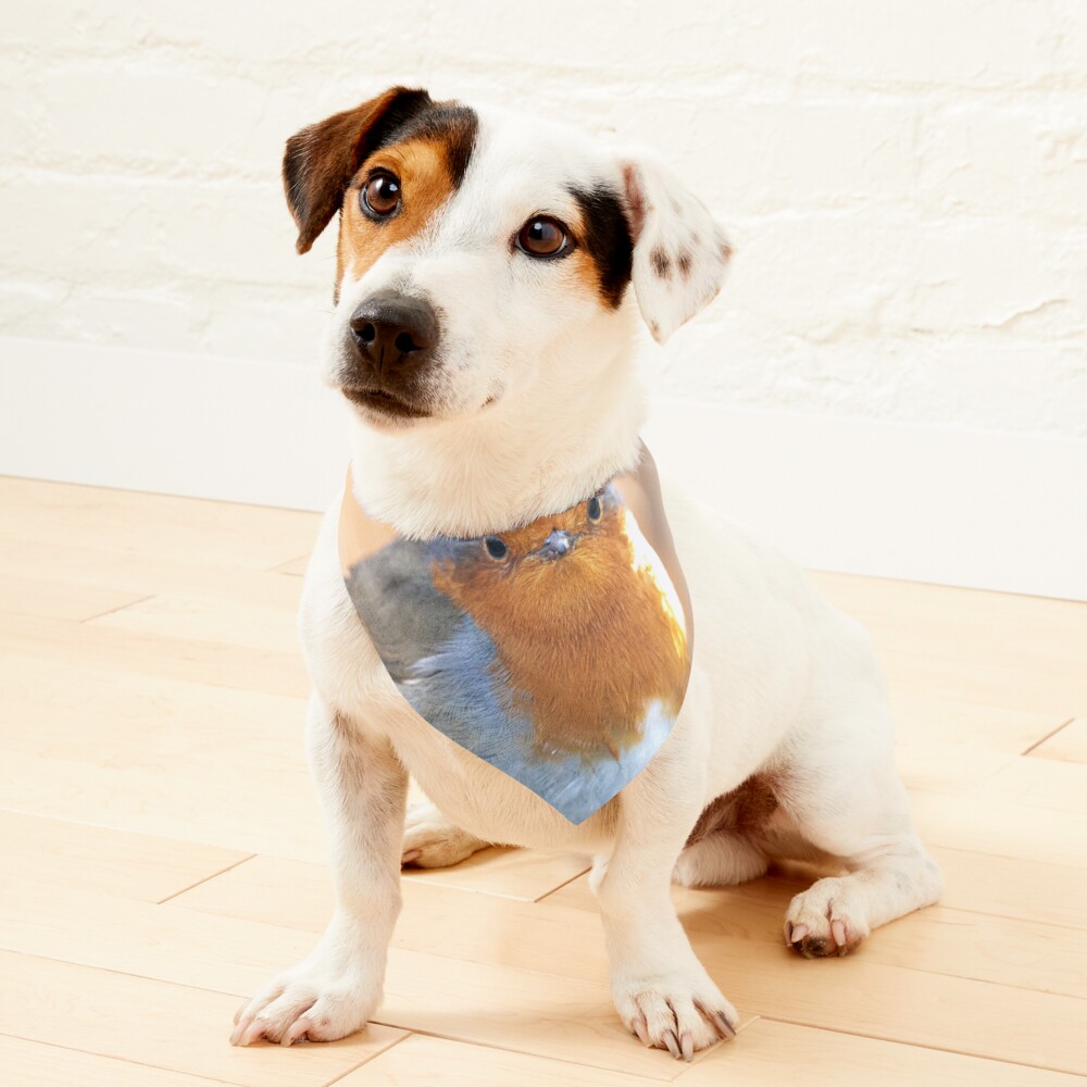 Item preview, Pet Bandana designed and sold by AYatesPhoto.