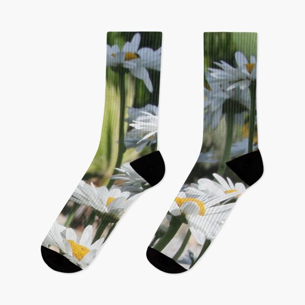 Item preview, A Garden of White Daisy Flowers Garden Photography designed and sold by taiche.