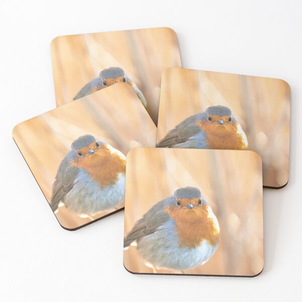 Item preview, Robin in golden light designed and sold by AYatesPhoto.