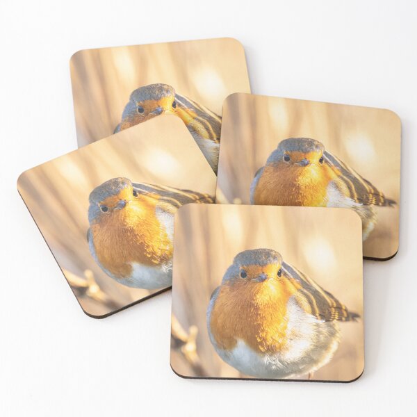 Item preview, Robin portrait in golden light designed and sold by AYatesPhoto.