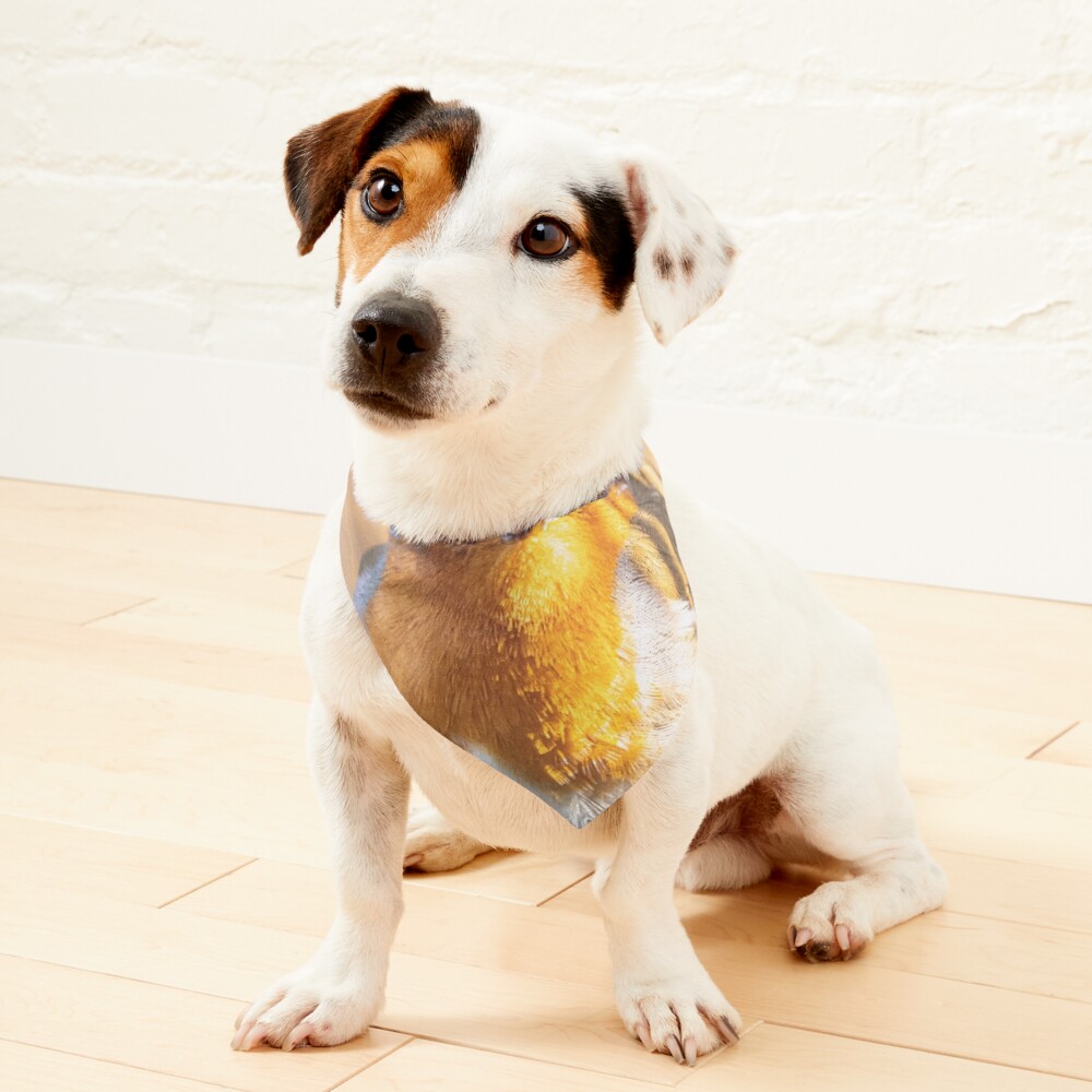 Item preview, Pet Bandana designed and sold by AYatesPhoto.