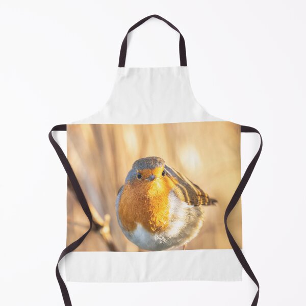 Item preview, Robin portrait in golden light designed and sold by AYatesPhoto.