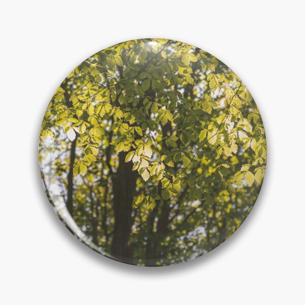 Item preview, Summer foliage designed and sold by AYatesPhoto.