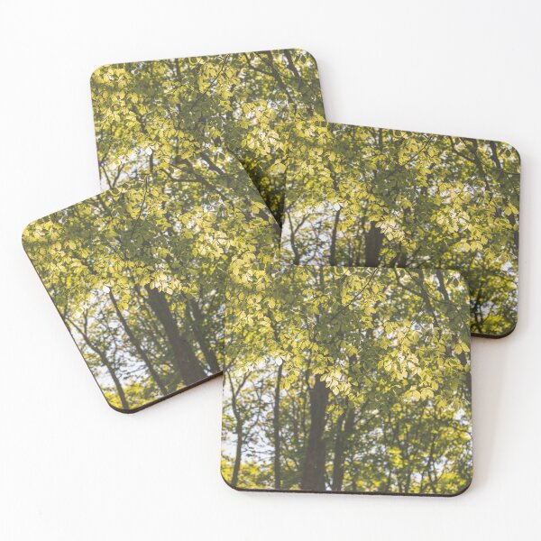 Item preview, Summer foliage designed and sold by AYatesPhoto.
