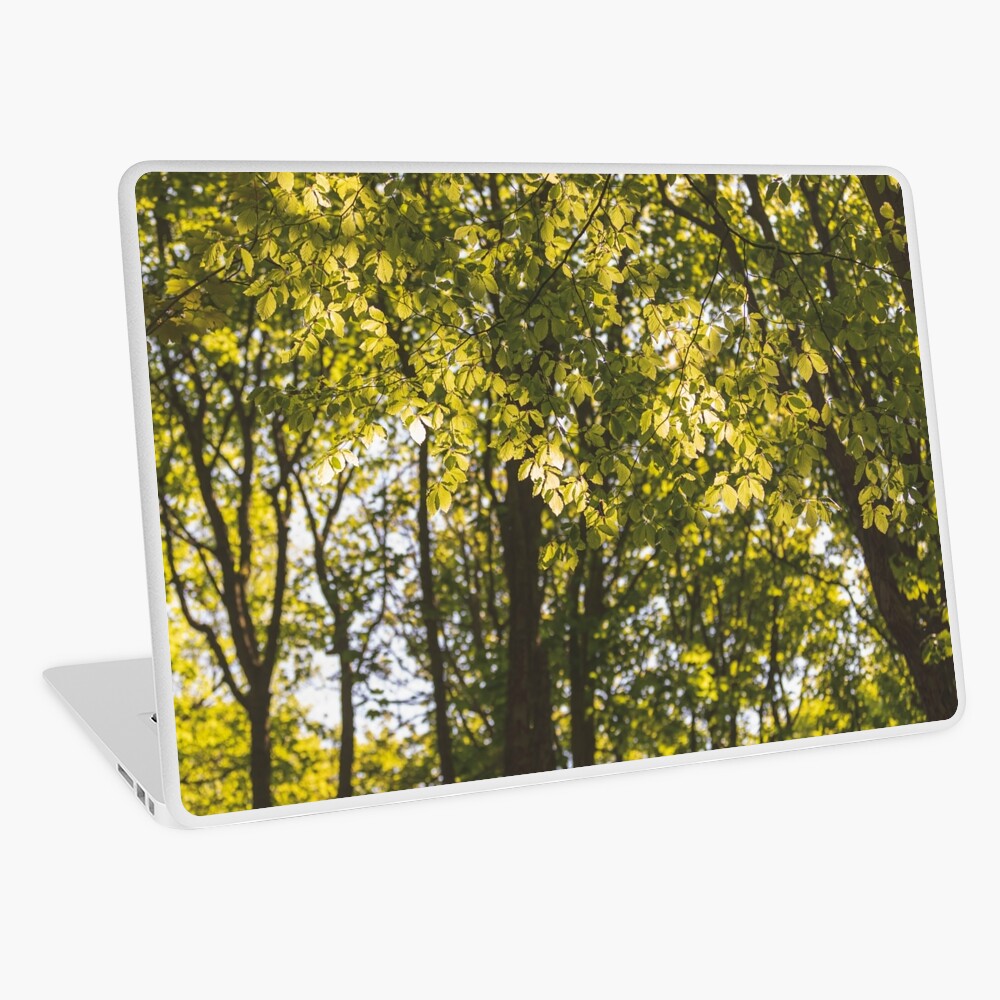 Item preview, Laptop Skin designed and sold by AYatesPhoto.
