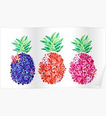 Floral Pineapples Poster