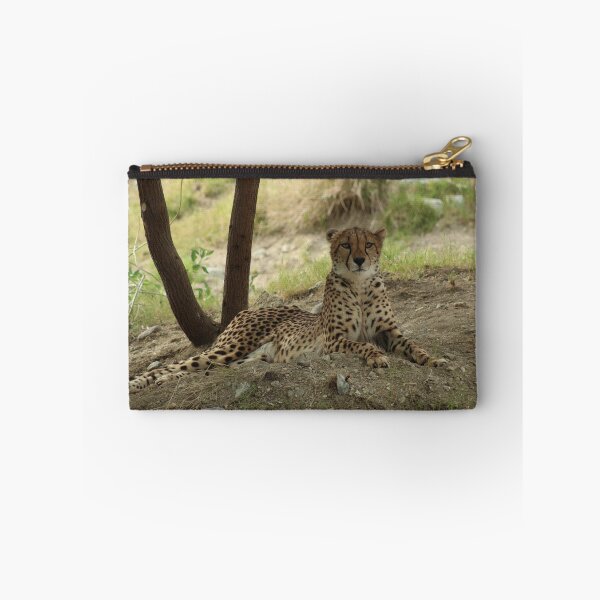 Item preview, Cheetah--- The world's fastest land mammal........ designed and sold by DonnaMoore.