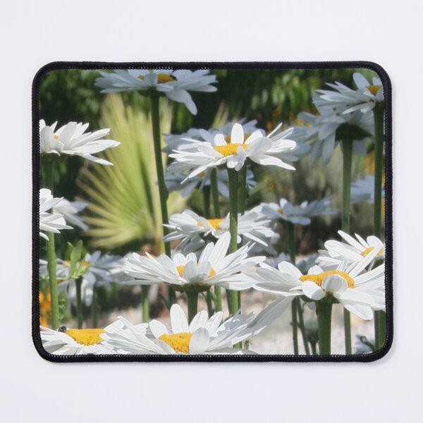 Item preview, A Garden of White Daisy Flowers Garden Photography designed and sold by taiche.