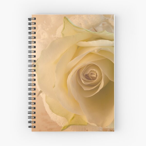 Item preview, Sheer Rose designed and sold by Anne Christie.
