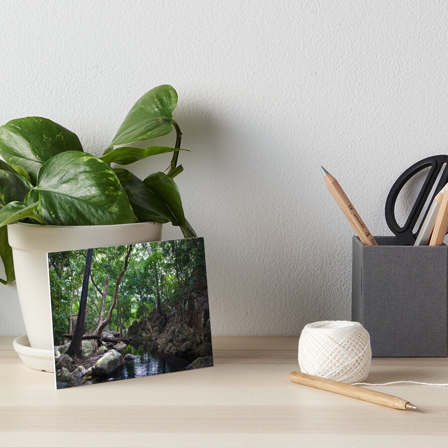 Rainforest tranquility Art Board Print