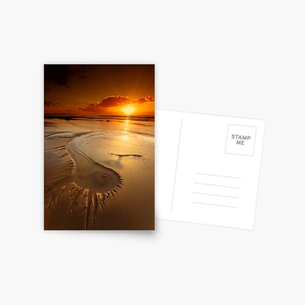 Signs Postcard