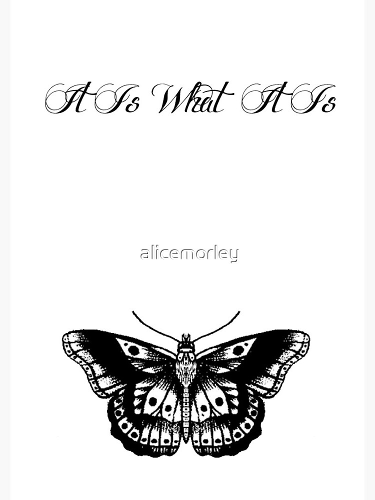 Free download Pin by Janae Williams on Wallpapers Butterfly