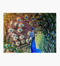 Display Photographic Print