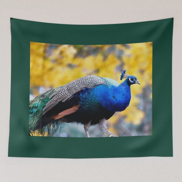 Item preview, Peacock designed and sold by Nicholas Blackwell.